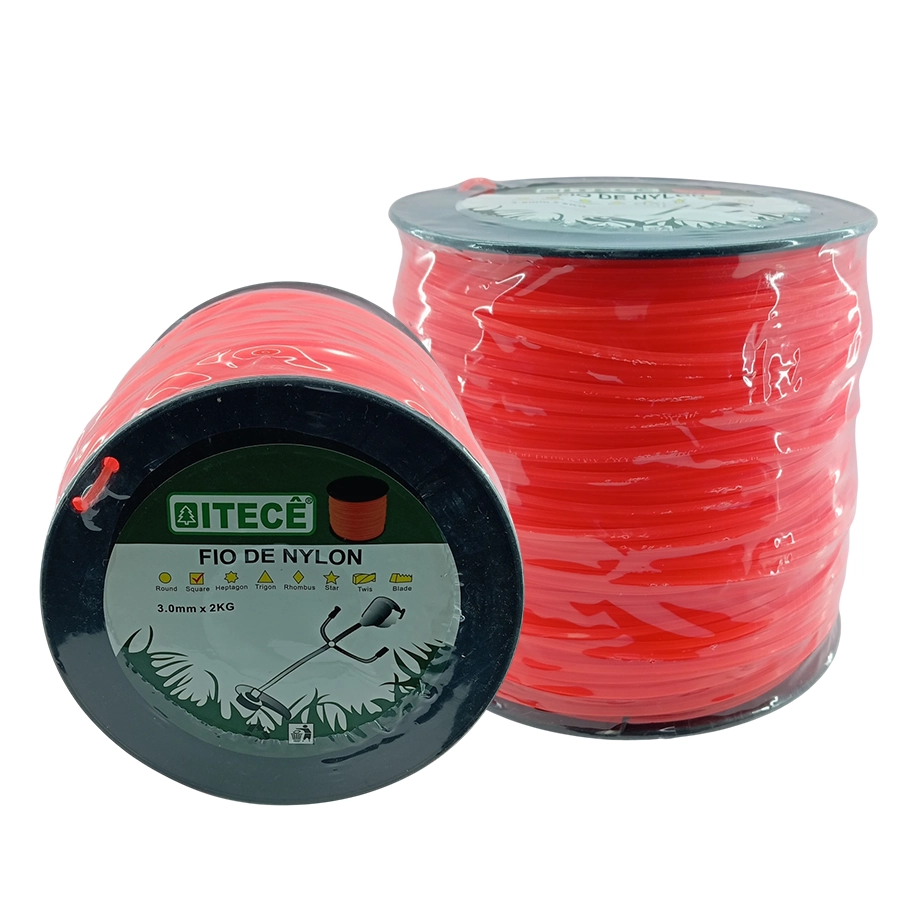 P685230015_0.webp FIO NYLON QUADRADO 3,0MM LR - Imagem 1