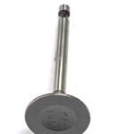 VALVULA DE ESCAPE MOTOR 4T 6HP