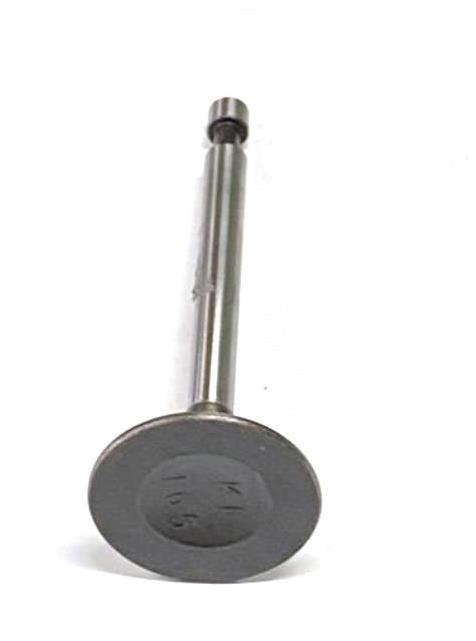 WhatsApp-Image-2021-01-04-at-09.47.41-6.jpeg VALVULA DE ESCAPE MOTOR 4T 6HP - Imagem 1