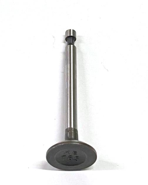 WhatsApp-Image-2021-01-04-at-09.53.02-10.jpeg VALVULA DA ADMISSAO MOTOR 4T 6HP - Imagem 1