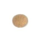 TELA FILTRANTE CARB. TILLOTSON 08/051/133