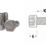 PARAFUSO DA GRAXEIRA SEXT M-6×10
