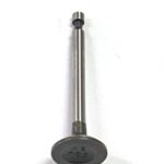 VALVULA DA ADMISSAO MOTOR 4T 6HP