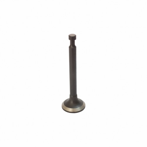 spinner154460001004149_2.jpg VALVULA DE EXAUSTAO PARA MOTOR GASOLINA 4HP - REFERENCIA 160F - Imagem 1