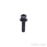 PARAFUSO PHILLIPS 4 X 20MM - COM ARRUELA LISA E PRESSAO - ACO LIGA