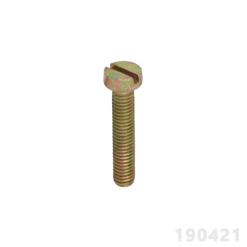 spinner222320001000467_1.jpg PARAFUSO FENDA 6 X 30MM - DOURADO - Imagem 1