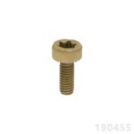 PARAFUSO TORX 4 X 10MM - DOURADO