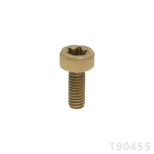 spinner224890001001521.jpg PARAFUSO TORX 4 X 10MM - DOURADO - Imagem 1