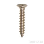 PARAFUSO PHILLIPS 2,90MM X 1/2" - ACO INOX - ROSCA SOBERBA AUTO ATARRAXANTE CABECA CHATA