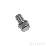 PARAFUSO SEXTAVADO COM FLANGE 10 X 15MM