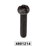 PARAFUSO TORX FENDA 5 X 25MM - ACO LIGA
