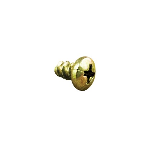 spinner60080001001827.jpg PARAFUSO PHILLIPS 4,20MM X 1/4" - ACO INOX - ROSCA SOBERBA SEM PONTA CABECA PANELA - Imagem 1